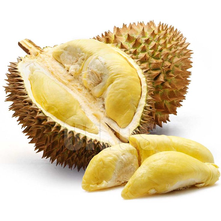 Durian Kasongan